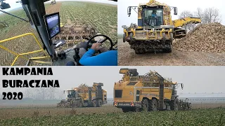 KOPANIE BURAKÓW NA DWIE ROPY🔥Ropa Tiger 6S & Ropa Tiger 6🔥Agro Kuzyni😃