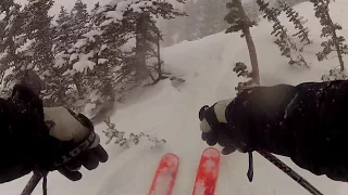 Snowbird, Utah: a Powder day run in Peruvian Gulch.