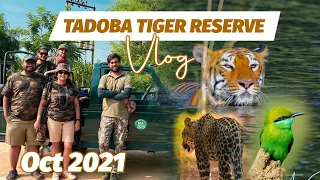 Tadoba Tiger Reserve | Vlog | Oct 2021 | Nikita Sarkar