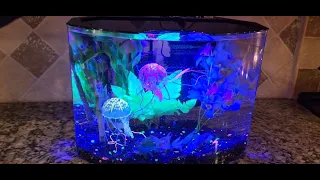 GloFish 5 Gallon Crescent Fish Tank Aquarium Kit Review 🐟 Perfect For Betta Fish!