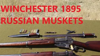 Winchester's 1895 Russian Musket