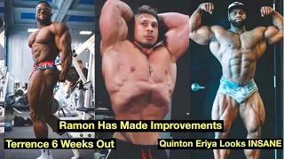 Ramon Dino Has Improved + Terrence 6 Weeks out From Arnold Classic + Quinton Eriya Looks INSANE