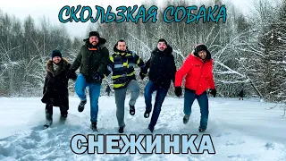 СКОЛЬЗКАЯ СОБАКА  - СНЕЖИНКА (cover к/ф Чародеи)