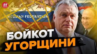 😱Скандальна заява Угорщини! Київ різко відповів