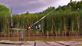 Fishing For Catfish Off The Dock