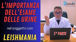 L' importanza dell'esame delle Urine /// Leishmaniosi - PARTE 1