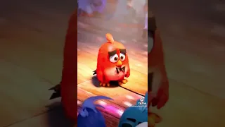 Angry Bird - Red Sad Scene