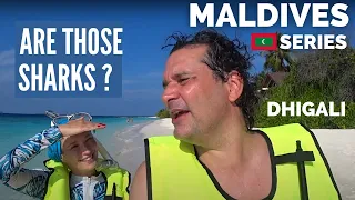 Shark Hunting In the Maldives | Dhigali Luxury Island马尔代夫 中文字幕