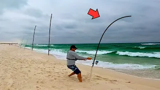 Surf Fishing the Morning Bite and Caught This!