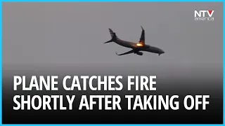 American Airlines Plane Engine Catches Fire After Bird Strike in Ohio