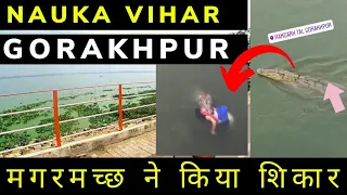 Nauka Vihar में आए हुए मगरमच्छ ने किया शिकार Gorakhpur