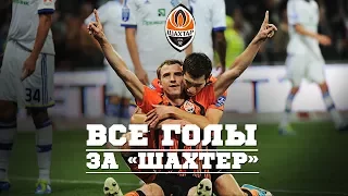 Olexandr Kucher's all goals for Shakhtar