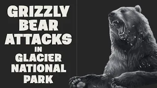 Bear Attacks in Glacier National Park