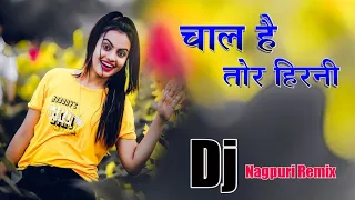 Chal Hai Tor Hirni Nagpuri Dj Song 2023 || Nagpuri Dj Remix Song || Nagpuri Song || Aliram Official