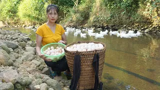 Single mother - Harvesting duck eggs and bring them to the village market to sell - Daily Life