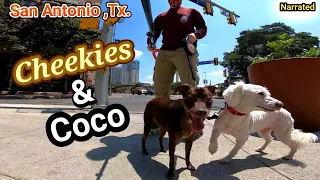 Rollerblading San Antonio...Cheekies and Coco (Narrated)