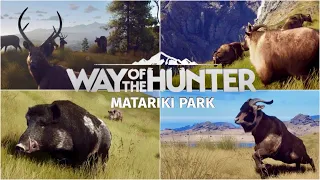 NEW MAP COMING TO WAY OF THE HUNTER! NEW ZEALAND! TAHR, FERAL GOATS, SAMBAR AND MORE! AND TRIPODS!!!