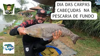 ✅ CONSEGUMOS TIRAR BONS EXEMPLARES DE CARPA CABEÇUDA - PESQUEIRO REINO ENCANTADO