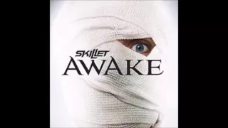 Skillet -Hero (Audio) [HQ]