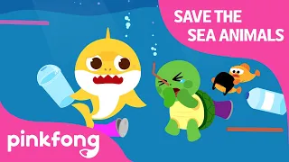 Save the Sea Animals | Shark Week with Baby Shark | Pinkfong Songs for Children