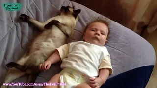 Лучшая подборка Кошки и Дети!Приколы с Детьми!   Funny Videos Cats and Kids!