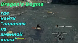 Dragon's Dogma.Квест на доставку "Кошелька из змеиной кожи"