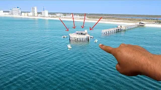 Pitching Live Baits Under This DESTROYED Fishing Pier! *Nonstop Action*