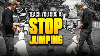 Teach Your Dog to STOP Jumping Up in Less than 5 Minutes