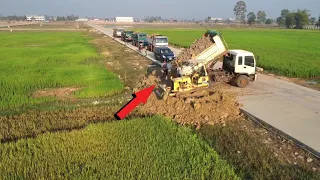 Started A New Project! Build Foundation New Long ROAD Using Dozer Push Soil & Truck Unloading Soil