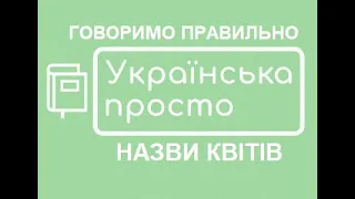 Назви квітів/ Говоримо правильно, початкові класи НУШ