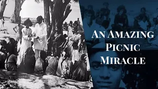 An Amazing Picnic Miracle | Short Experiences With Bhagawan Sri Sathya Sai Baba | Sathya to Sai