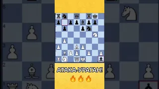 Ураганная атака в дебюте Сокольского с жертвой ферзя! #shorts