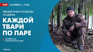 Лекция из цикла «Каждой твари по паре» Павла Глазкова