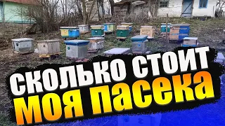 Насколько выгодно содержать пчел.