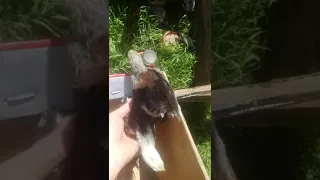 🐔🐓 дружно заняты мы делом!!! цыпы,цыпочки,цыпули!!!