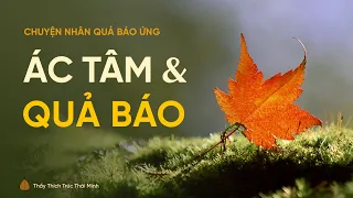 Ác tâm và quả báo | Chuyện nhân quả báo ứng | Thầy Thích Trúc Thái Minh