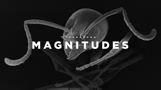 MAGNITUDES  — Recurring patterns at extreme scales of our universe — Phenomena (4K)