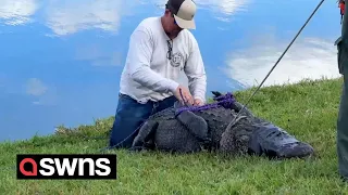 Florida wlderly woman killed while trying to save her dog - from an alligator | SWNS