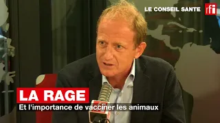 La rage et l'importance de vacciner les animaux