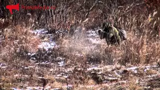 Учения военных полицейских на Горностае во Владивостоке