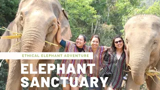 ELEPHANT SANCTUARY 2020 | Elephant Jungle Sanctuary Camp | Chiang Mai, Thailand