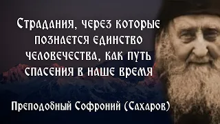 Страдания, через которые познается единство человечества, как путь спасения в наше время.