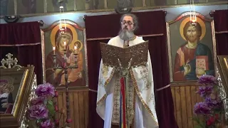 Parintele DAN POPOVICI - Epifanie Theodoropoulos, cleric vrednic a fi omagiat in DuminIca Ortodoxiei