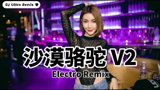 V2 展展与罗罗 - 沙漠骆驼 DJ男版《高清音质》【2021 DJ Ultra Electro Remix 热门抖音歌】|| Lạc đà sa mạc【Hot TikTok Remix 2021】