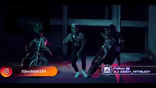 Harmonize X Rich Mavoko - Show Me (Official Teaser Video) DEEJAY BUDDAH 254 X DJ ZEEH