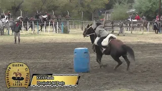 XXVII Fiesta Provincial del Pasto