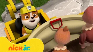 Patrulha Canina | Melhores Resgates de Animais de Fazenda! com Chase e Marshall | Nick Jr.