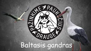 Apie paukščius (4 laida) - baltasis gandras (pasakoja Viktorija)