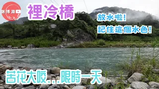 【苦花】台中和平區裡冷橋釣魚｜記住這個水色跟水量，包你大咬｜時間點很重要!!｜Fishing