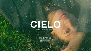 (FREE) B Young ft Tems & Omah Lay Type Beat "Cielo" | Free Beat | Afrobeat Instrumental 2023